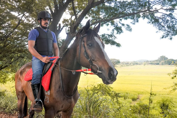 Horse Ride Experience from Sigiriya - Photo 1 of 9
